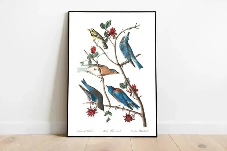 Vintage Bird Art Prints| Bird Poster