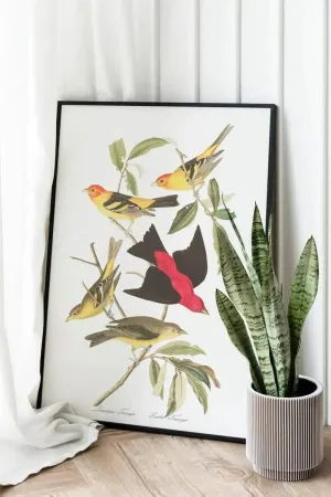 Vintage Bird Art Prints| Bird Poster