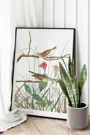 Vintage Bird Art Prints| Bird Poster