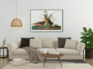 Vintage Bird Art Prints| Bird Poster