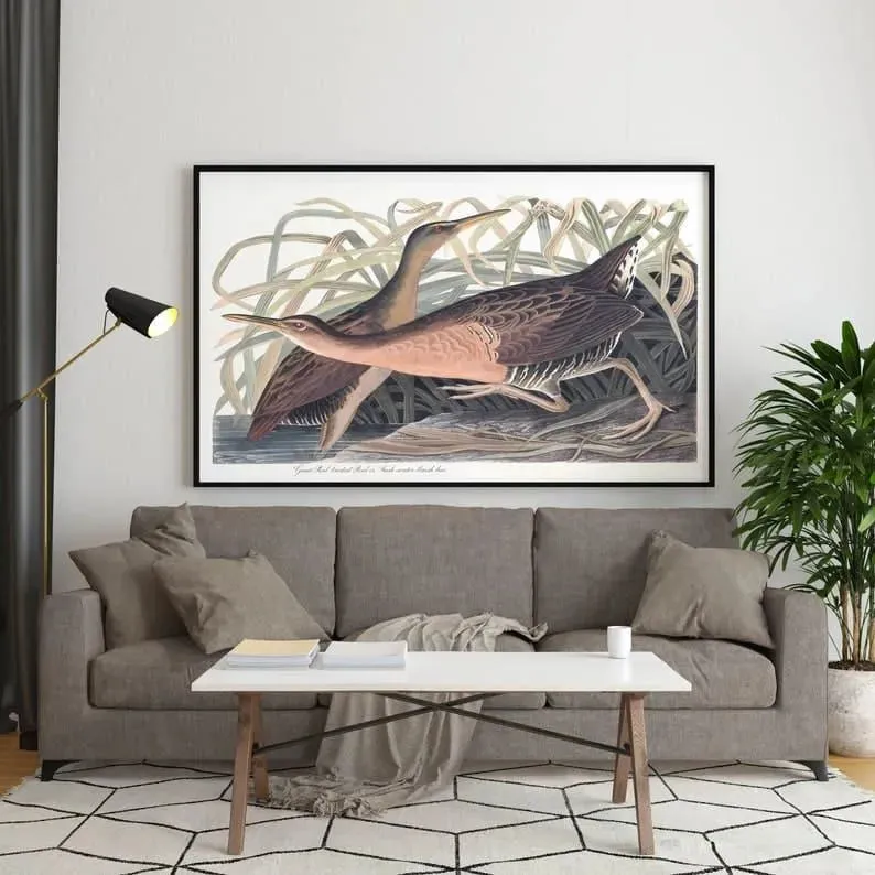 Vintage Bird Art Prints| Bird Poster