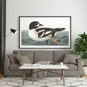 Vintage Bird Art Prints| Bird Poster