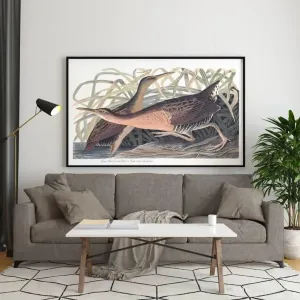 Vintage Bird Art Prints| Bird Poster