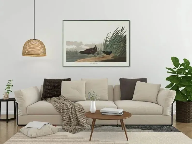 Vintage Bird Art Prints| Bird Poster