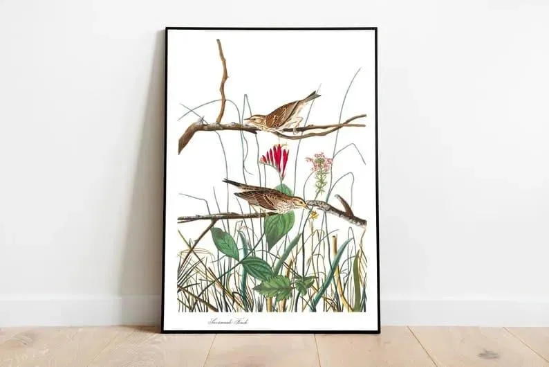 Vintage Bird Art Prints| Bird Poster