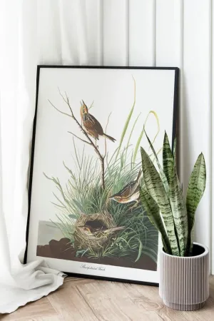 Vintage Bird Art Prints| Bird Poster