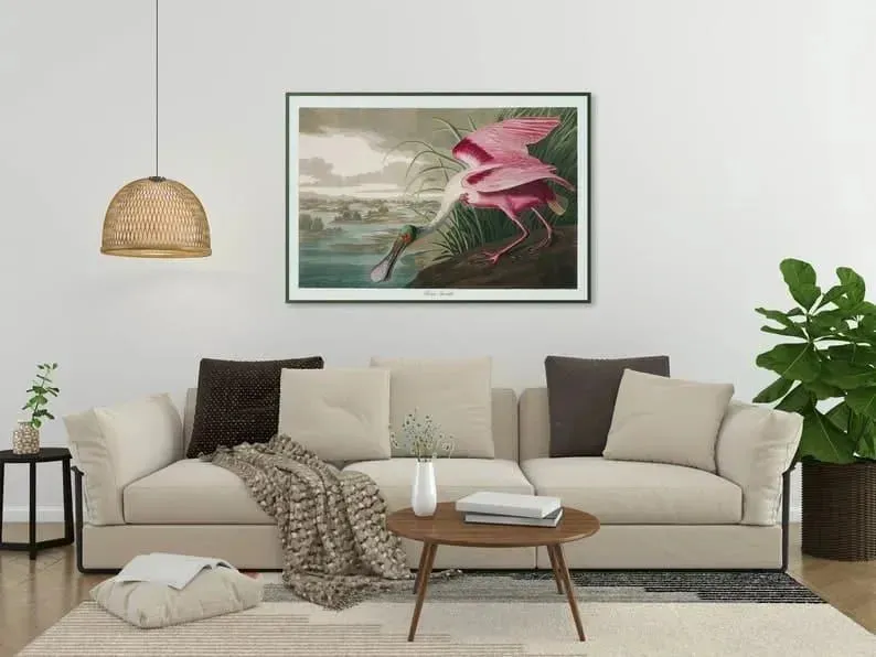 Vintage Bird Art Prints| Bird Poster