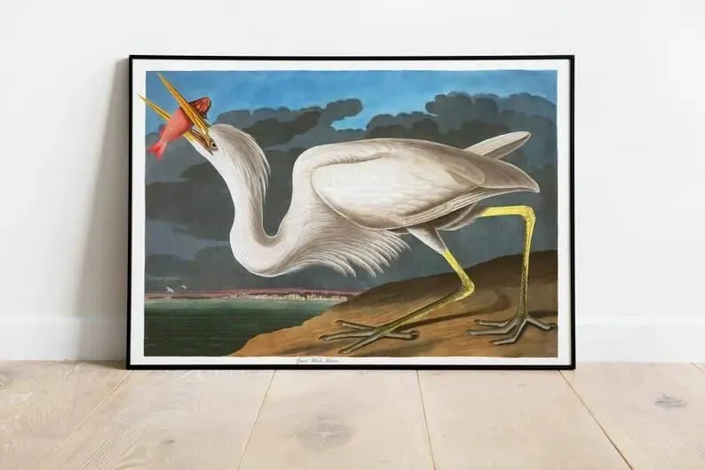 Vintage Bird Art Prints| Bird Poster