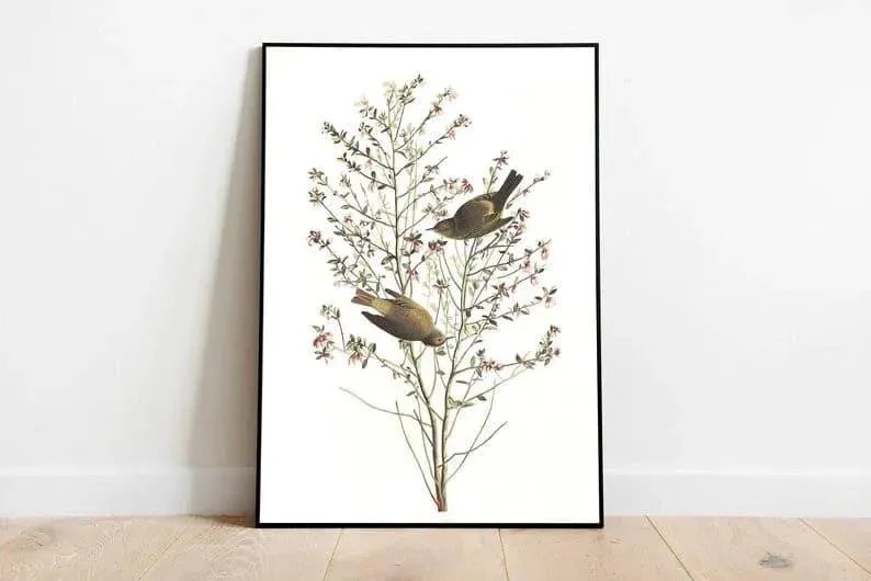 Vintage Bird Art Prints| Bird Poster
