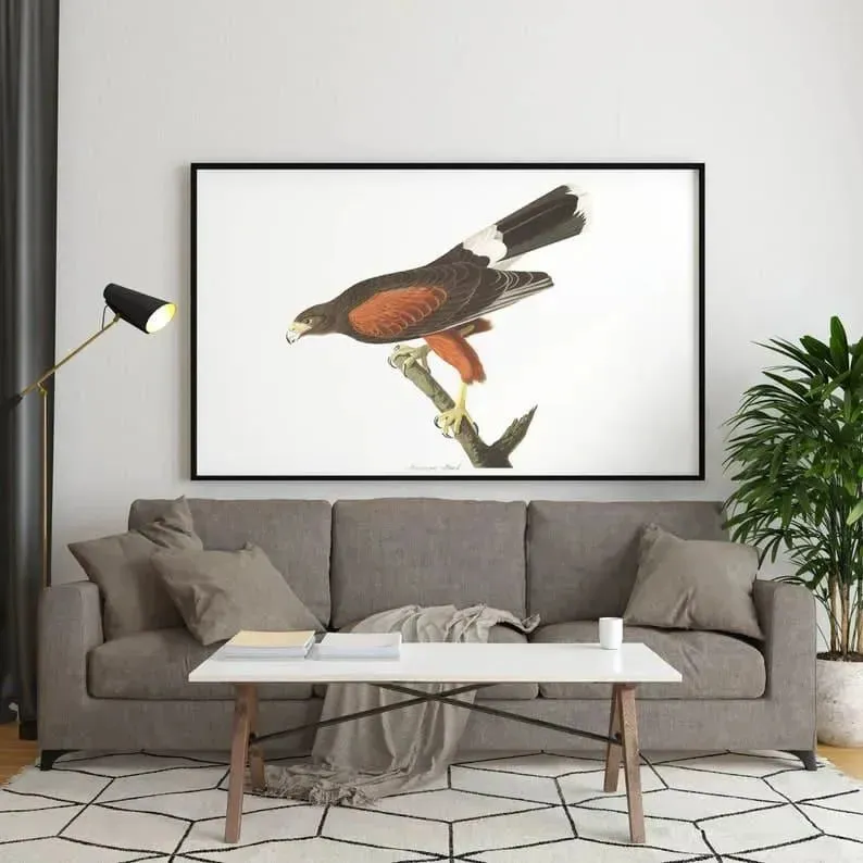 Vintage Bird Art Prints| Bird Poster