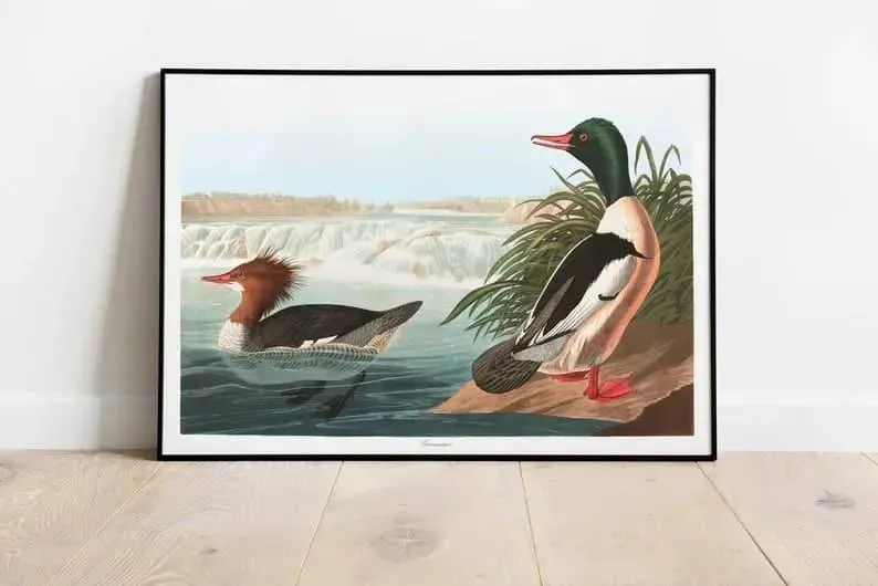 Vintage Bird Art Prints| Bird Poster