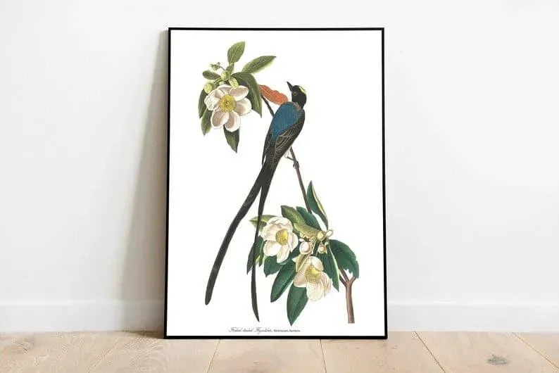 Vintage Bird Art Prints| Bird Poster