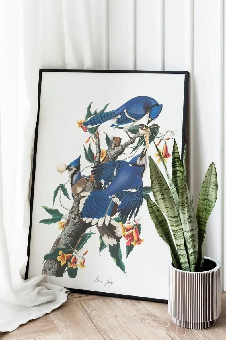 Vintage Bird Art Prints| Bird Poster