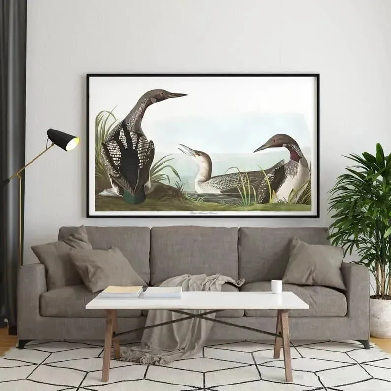 Vintage Bird Art Prints| Bird Poster
