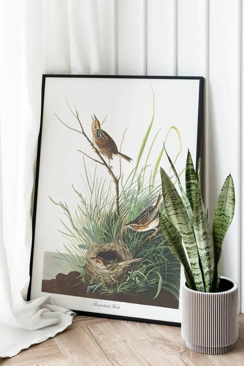 Vintage Bird Art Prints| Bird Poster
