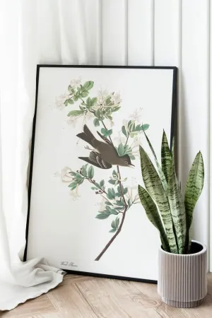 Vintage Bird Art Prints| Bird Poster