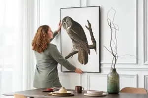Vintage Bird Art Prints| Bird Poster