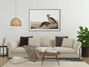 Vintage Bird Art Prints| Bird Poster