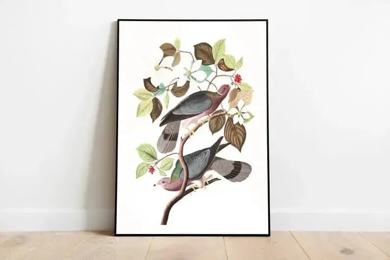 Vintage Bird Art Prints| Bird Poster