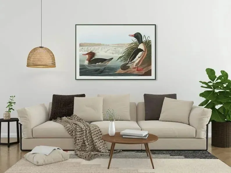 Vintage Bird Art Prints| Bird Poster