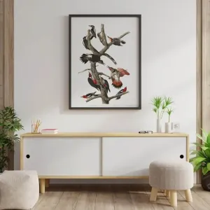 Vintage Bird Art Prints| Bird Poster