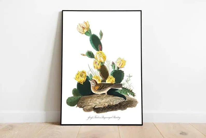 Vintage Bird Art Prints| Bird Poster