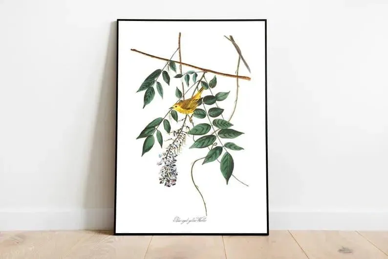 Vintage Bird Art Prints| Bird Poster