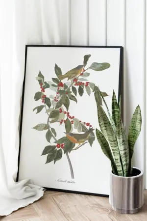 Vintage Bird Art Prints| Bird Poster