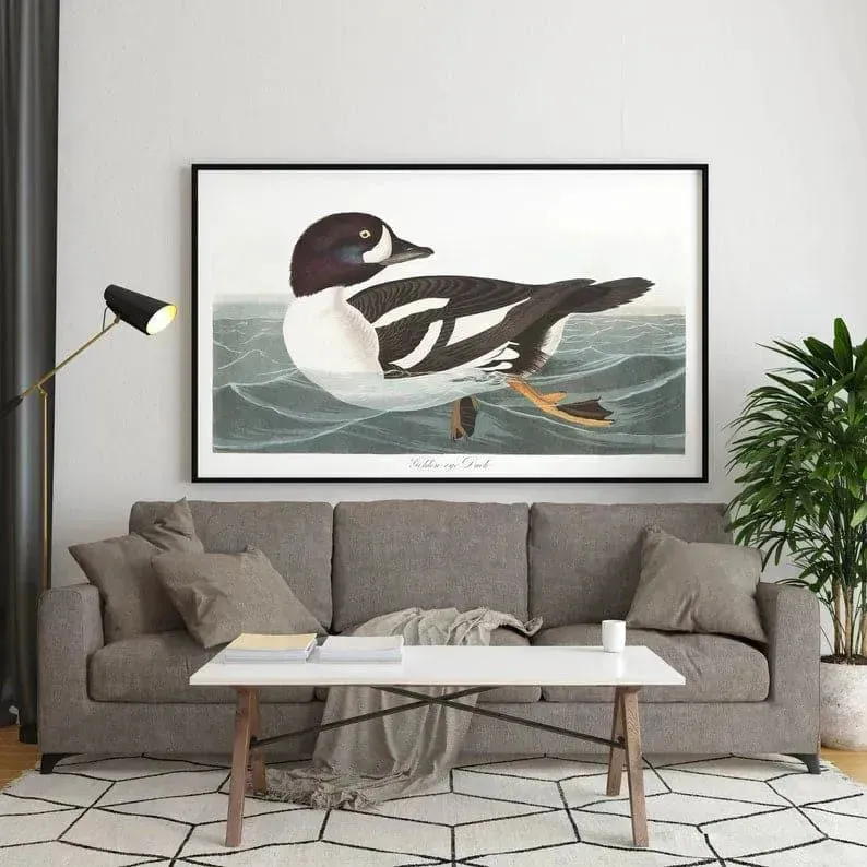 Vintage Bird Art Prints| Bird Poster