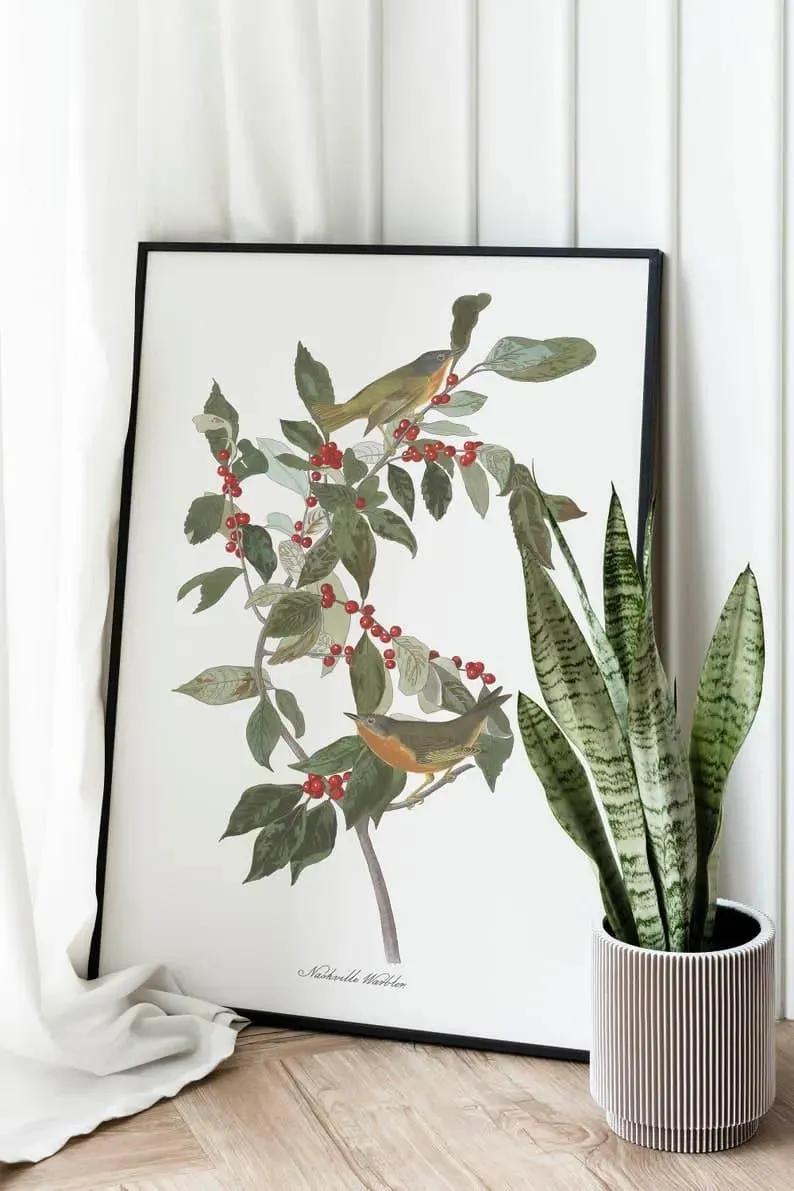 Vintage Bird Art Prints| Bird Poster