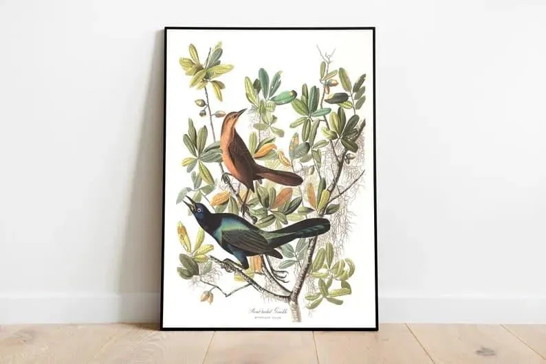 Vintage Bird Art Prints| Bird Poster