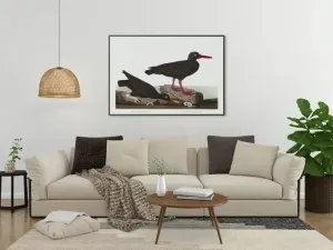 Vintage Bird Art Prints| Bird Poster