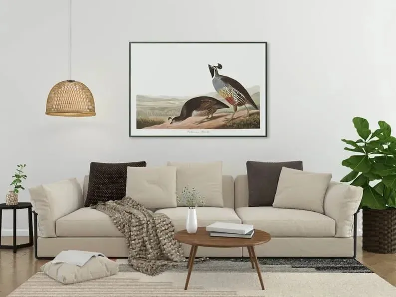 Vintage Bird Art Prints| Bird Poster