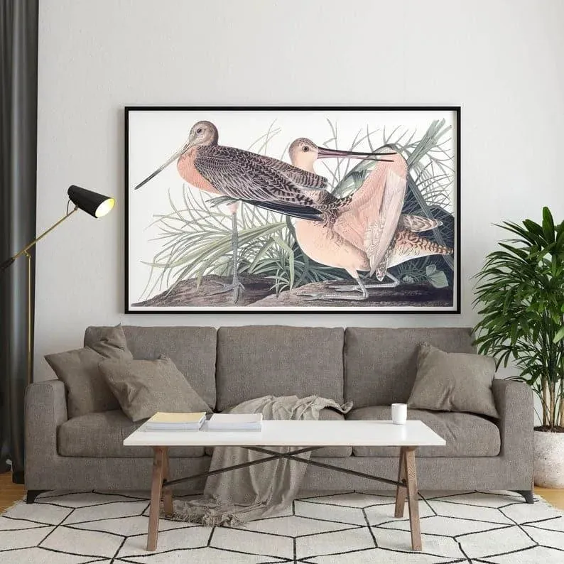 Vintage Bird Art Prints| Bird Poster