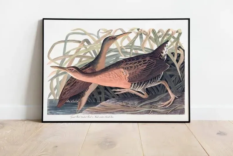 Vintage Bird Art Prints| Bird Poster