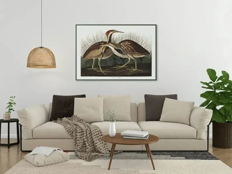 Vintage Bird Art Prints| Bird Poster