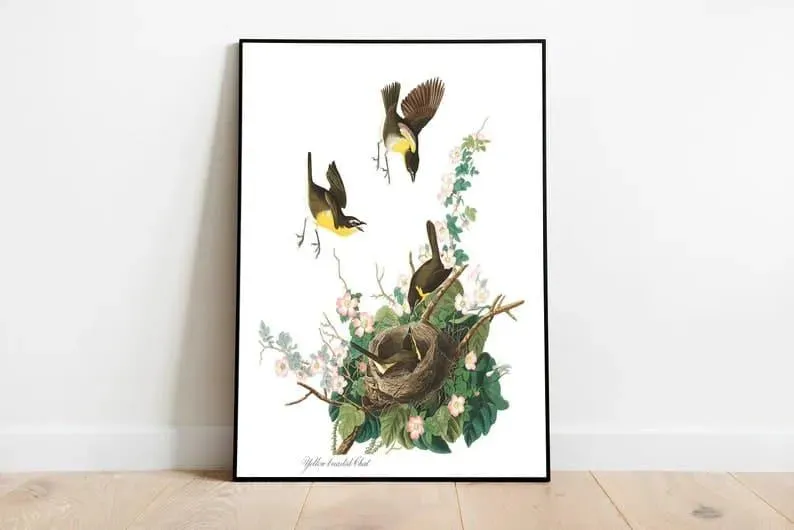 Vintage Bird Art Prints| Bird Poster