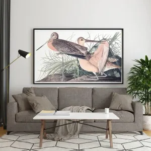 Vintage Bird Art Prints| Bird Poster