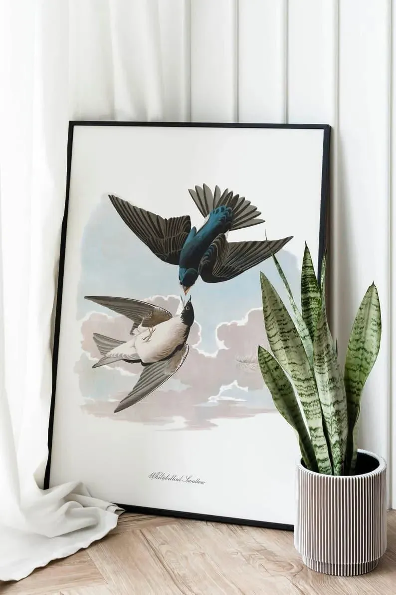 Vintage Bird Art Prints| Bird Poster