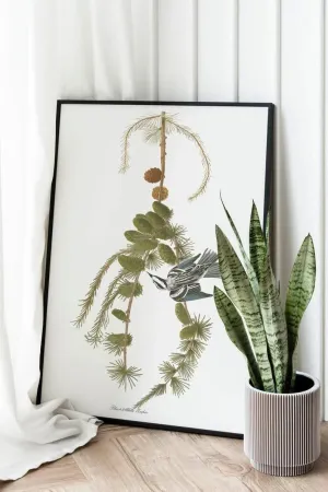 Vintage Bird Art Prints| Bird Poster