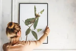 Vintage Bird Art Prints| Bird Poster