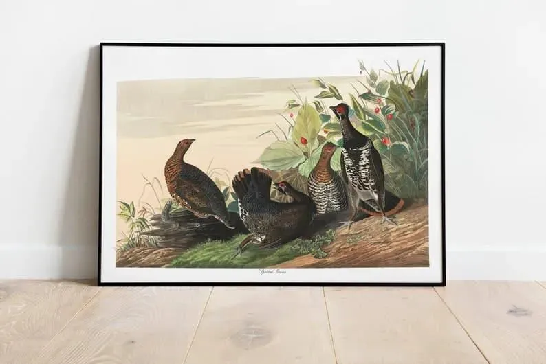 Vintage Bird Art Prints| Bird Poster