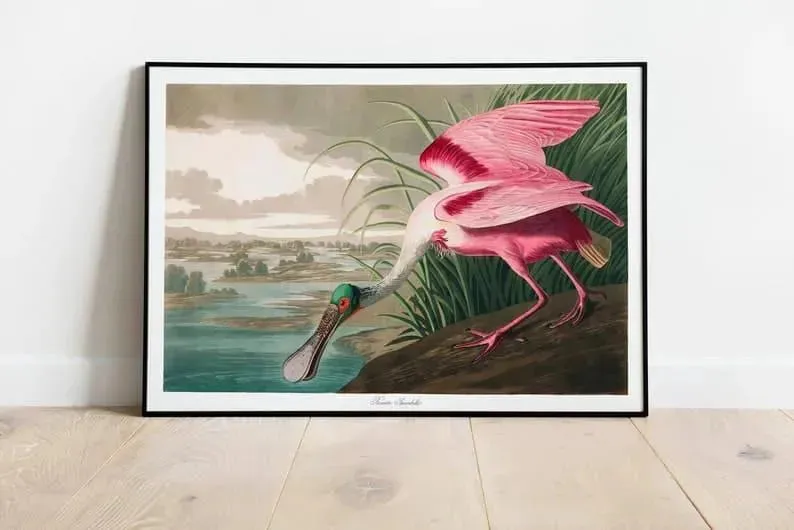 Vintage Bird Art Prints| Bird Poster