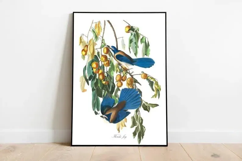 Vintage Bird Art Prints| Bird Poster