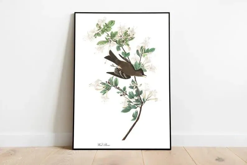Vintage Bird Art Prints| Bird Poster