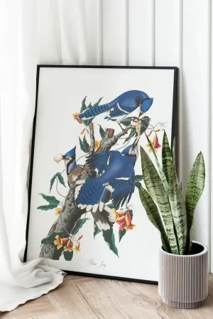 Vintage Bird Art Prints| Bird Poster