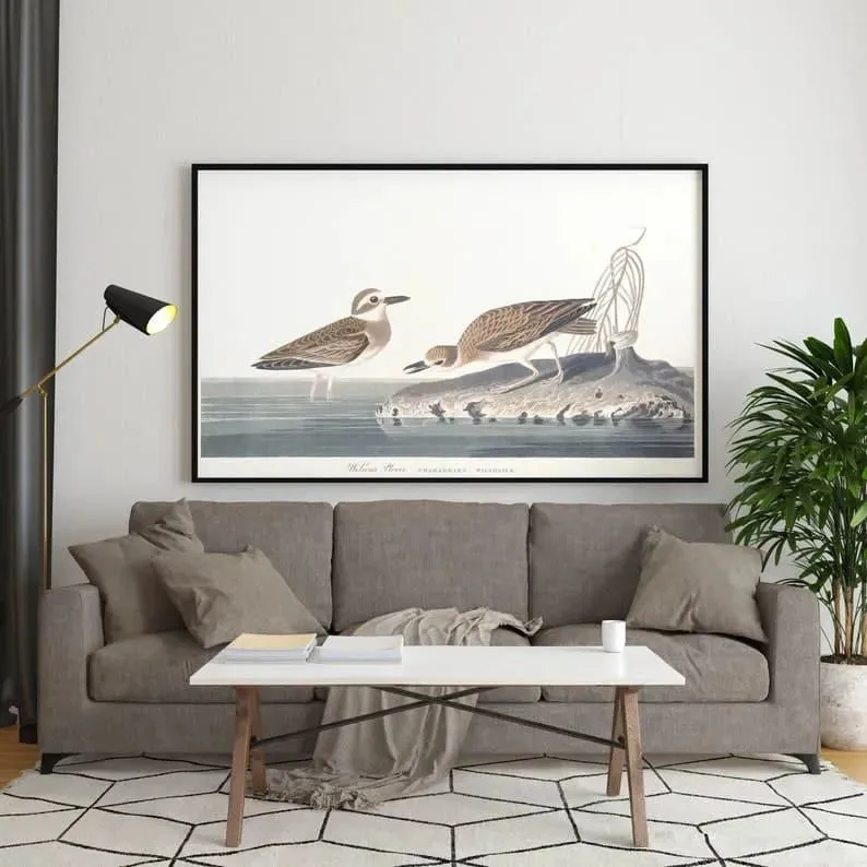 Vintage Bird Art Prints| Bird Poster