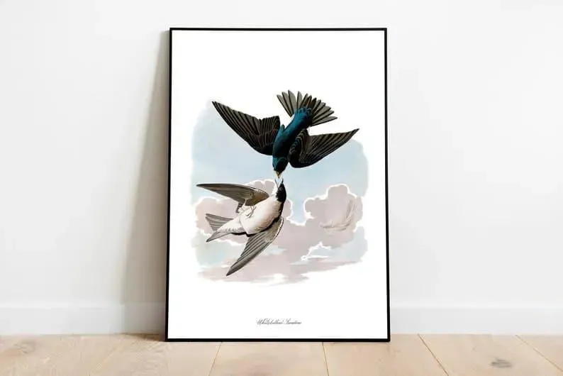 Vintage Bird Art Prints| Bird Poster