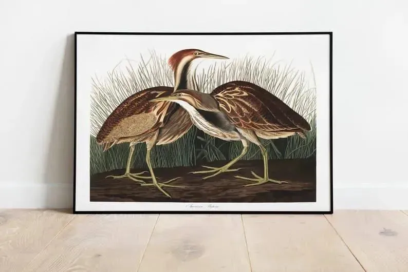 Vintage Bird Art Prints| Bird Poster