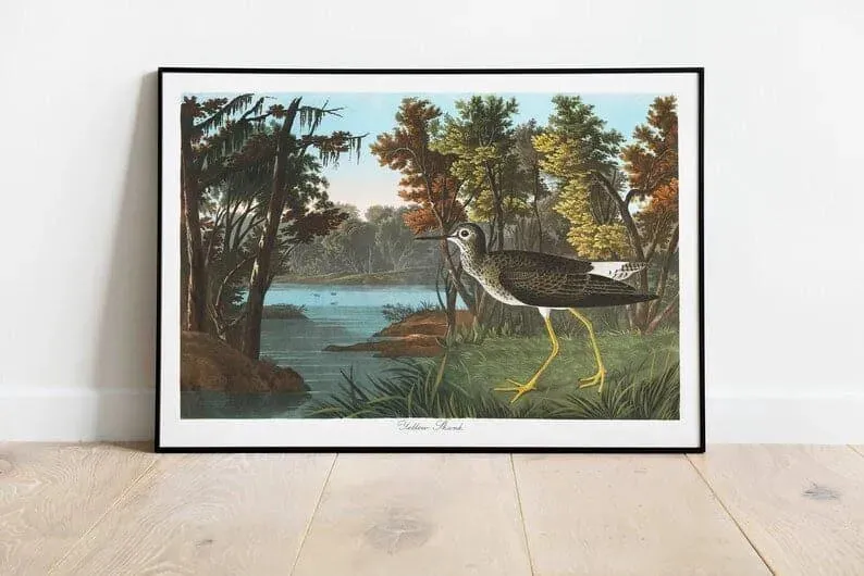 Vintage Bird Art Prints| Bird Poster